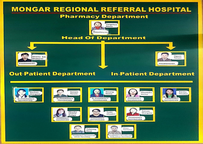 Pharmacy Department Organogram